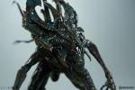sideshow-collectibles-ss1-547-alien-king-maquette