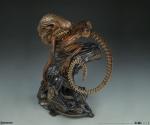 sideshow-collectibles-alien-warrior-mythos-maquette-ss1-679