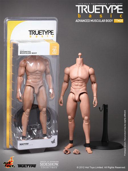 True Type Muscular Body Sixth Scale Figure