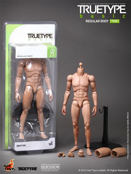 True Type Regular Body Sixth Scale Figure