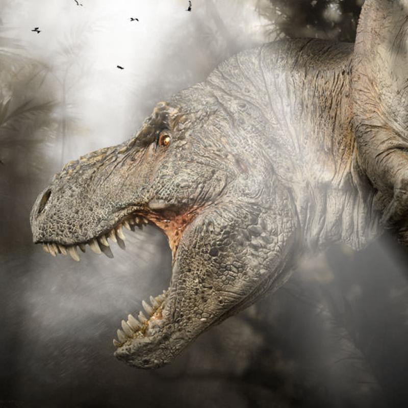 sideshow-collectibles-ss1-500-t-rex-the-tyrant-king-statue