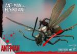 hot-toys-ht1-185-ant-man-on-flying-ant-figure