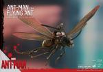hot-toys-ht1-185-ant-man-on-flying-ant-figure