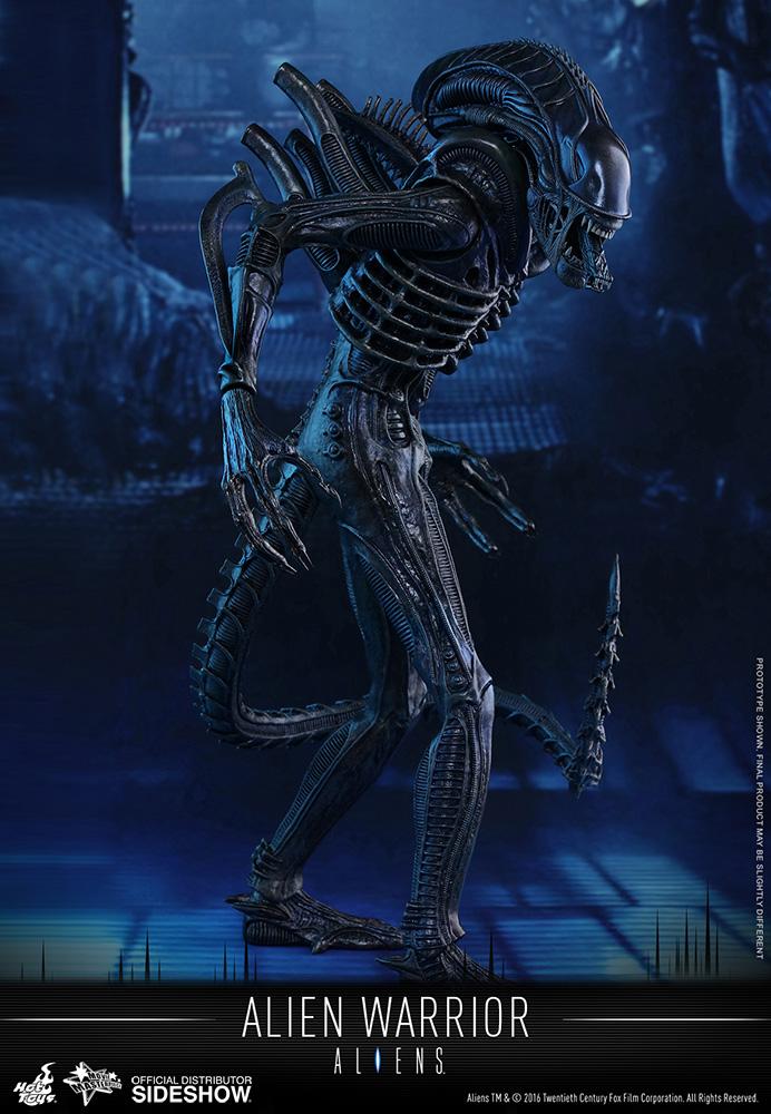 Alien Warrior Sixth Scale Figure