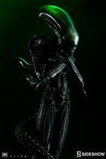 sideshow-collectibles-ss1-534-alien-internecivus-raptus-statue
