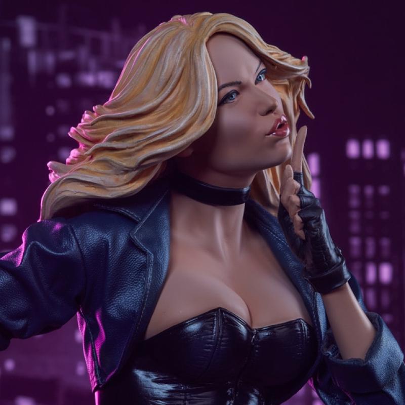 sideshow-collectibles-ss1-559-black-canary-premium-format-figure