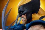 sideshow-collectibles-wolverine-bust-ss2-177