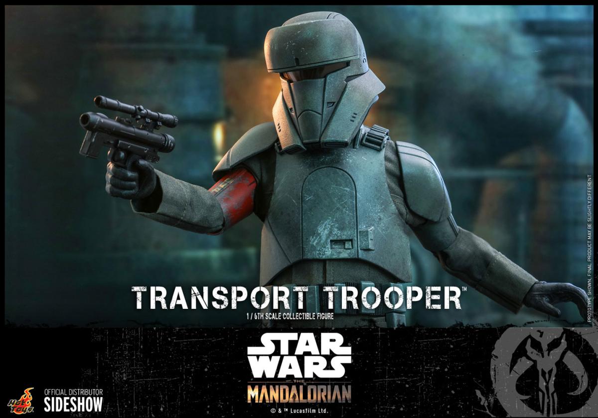 Transport Trooper Sixth Scale Figure